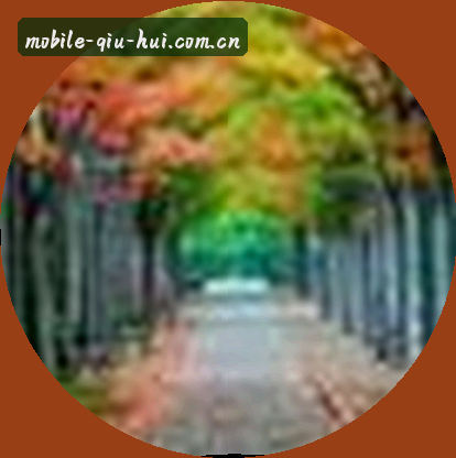 李军